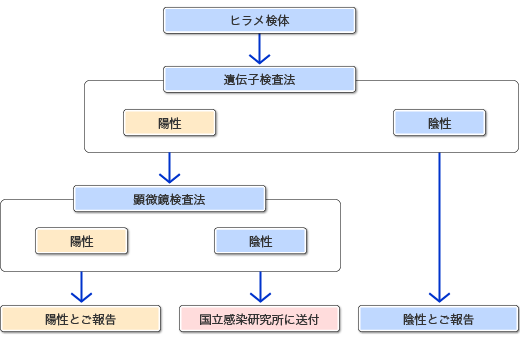 検査の流れ